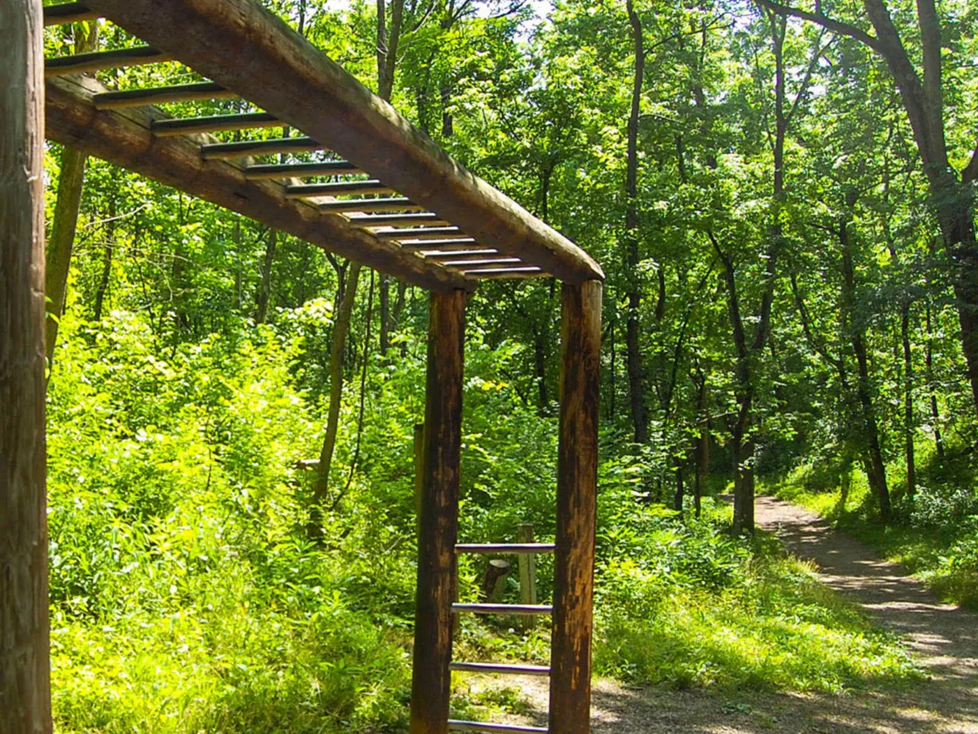 Wooden trail archway leading into a sunlit Great Parks forest path